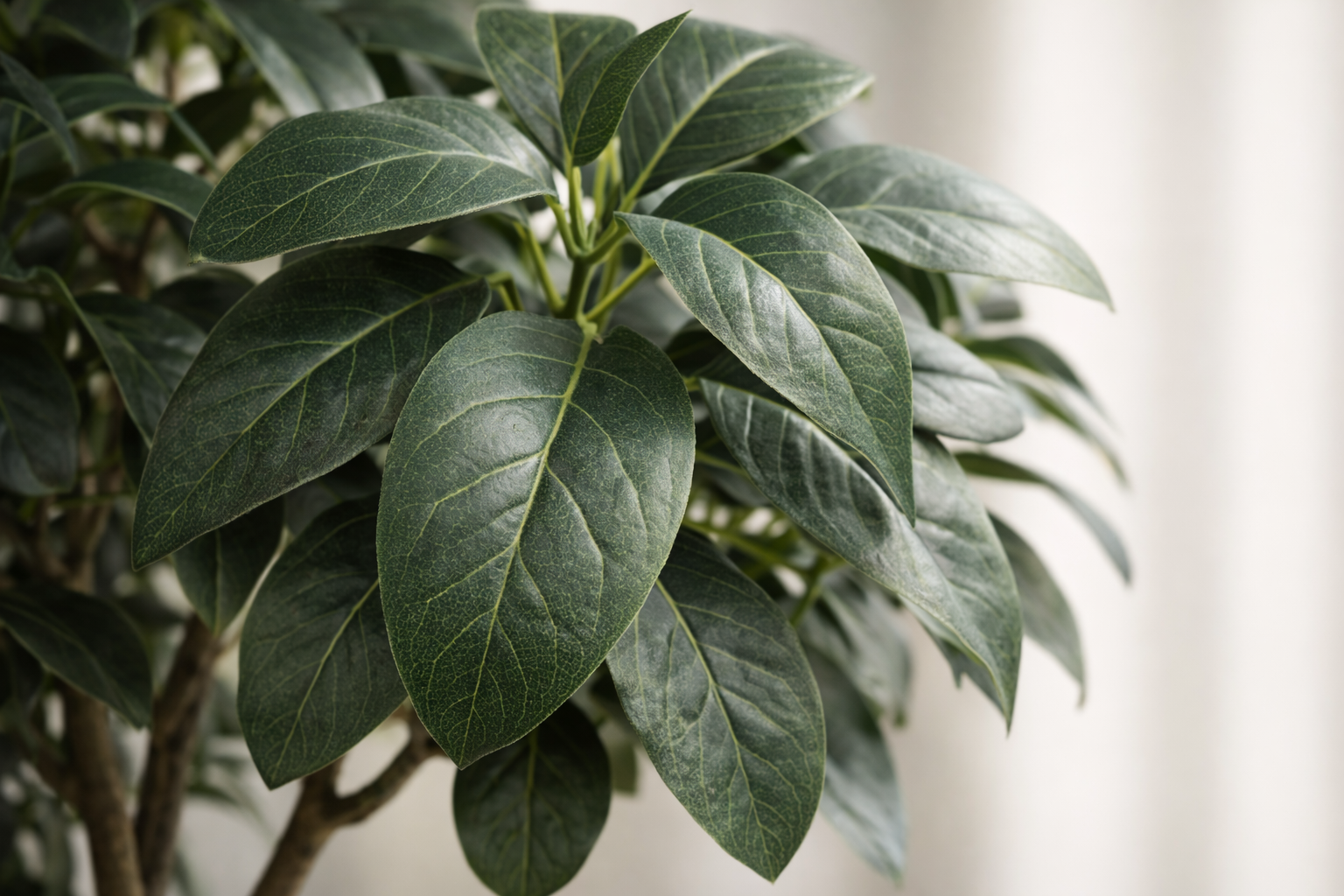 ხელოვნური დეკორატიული მცენარე ქოთნით (150 სმ) YD28259